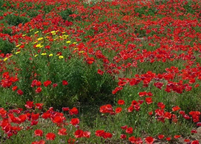 Casa Portella Wi-fi Vista Del Borgo Holiday home